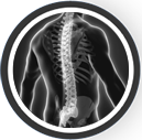 Spine Image