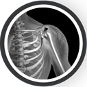 Shoulder Image